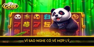 Vì sao nghe có vẻ hợp lý