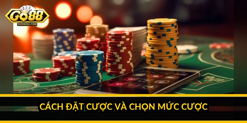 Cách đặt cược và chọn mức cược